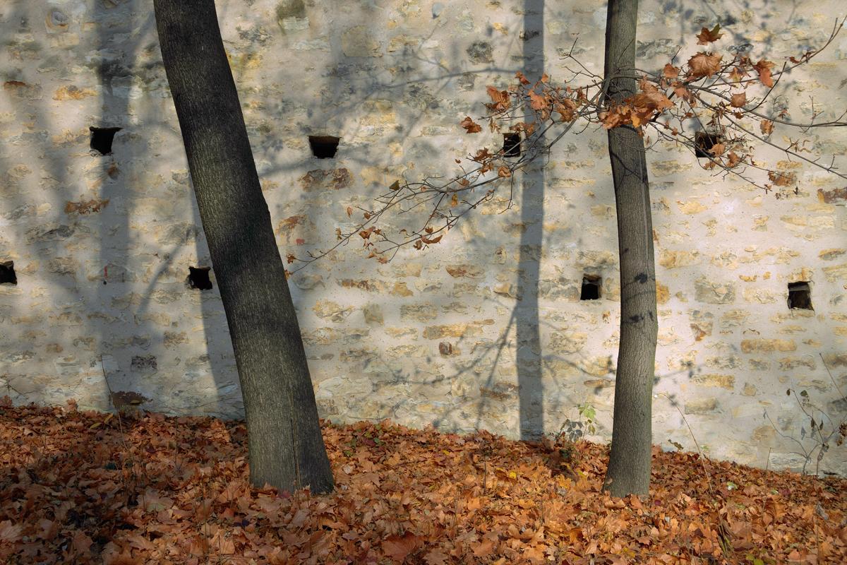 Schody do nebe - FOTOGRAFIE